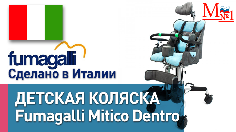 Инвалидное кресло-коляска для детей с ДЦП Fumagalli Mitico Simple Dentro из Италии, от Медтехника №1 смотреть онлайн