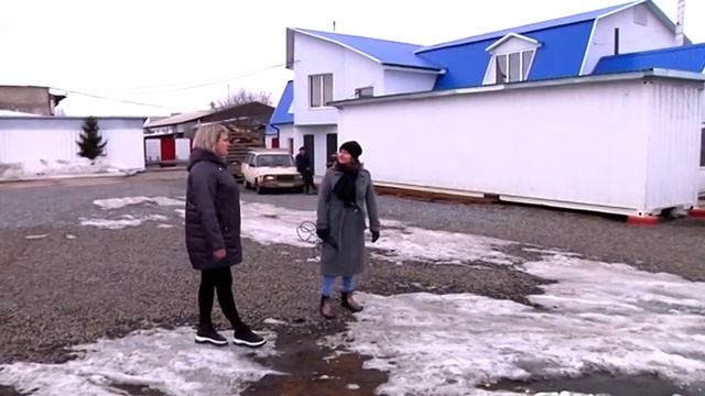 В Шарыпово похищают породистых собак смотреть онлайн