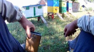 Улей лежак  Робота с лежаками  Пчеловодство
