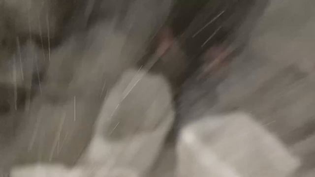 Купил очень много ПОРОСЯТ Супер Генетика смотреть онлайн