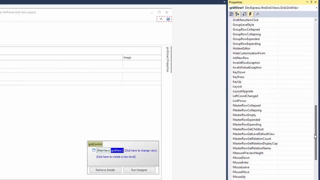 DevExpress WinForms Grid: Customize Row Preview Sections