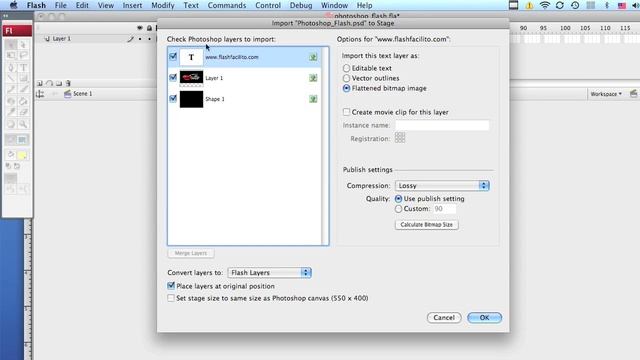 De PhotoShop a Flash CS3 ó CS4 смотреть онлайн