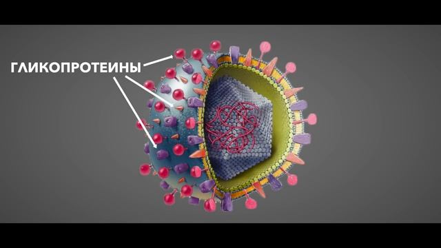 ВИЧ и СПИД. Все самые интересные факты..mp4 смотреть онлайн