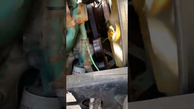 #15021 Volvo D11 Engine