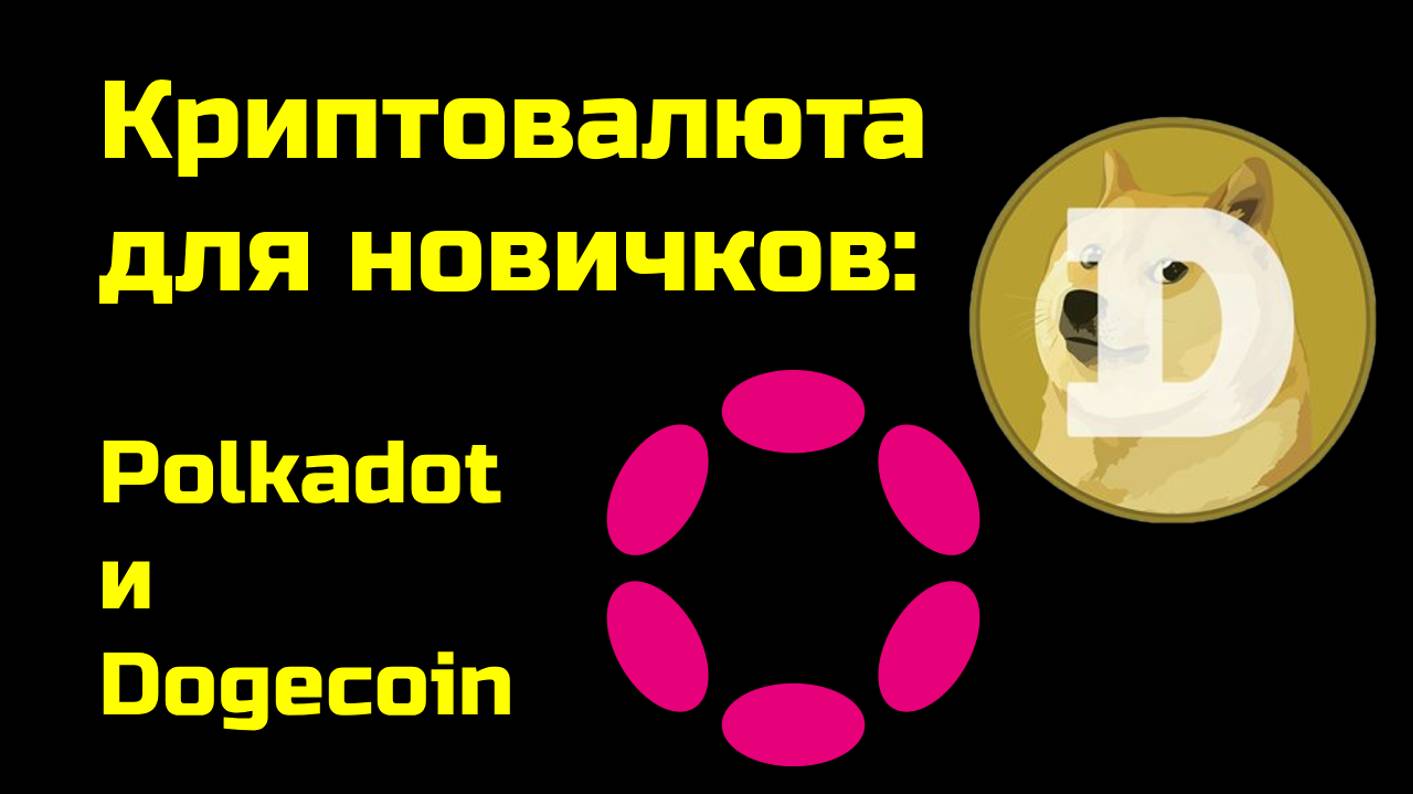 Polkadot | Dogecoin | Как отличить скам от надежных криптовалют | Крипта для новичков смотреть онлайн