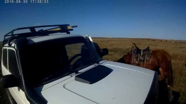 Охота на сурка, часть 2. Казахстан Караганды. смотреть онлайн