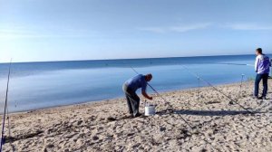 Ловля пеленгаса за городом. Пеленгас пошел? Таймлапс.