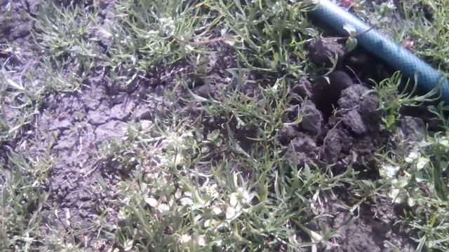 Побег крота смотреть онлайн