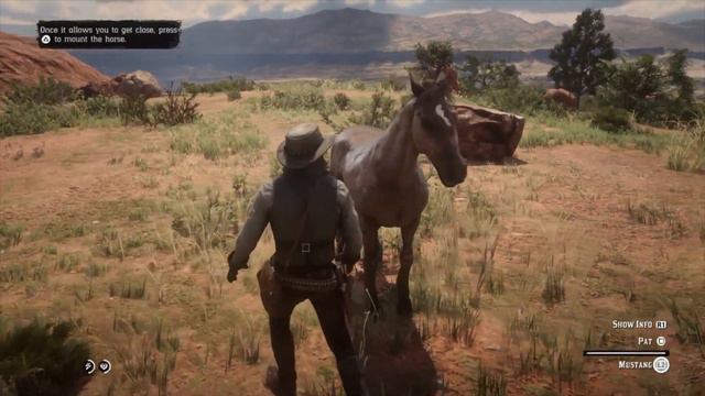 Taming The Rare Tiger Striped Mustang - Location - Red Dead Redemption 2 смотреть онлайн