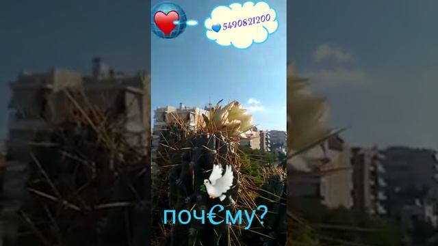 14-день. Почему? Сегодня твой Д€нь смотреть онлайн