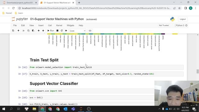 Áp dụng thuật toán Support Vector Machines vào bài toán dự đoán phân loại với Python | SVC Python смотреть онлайн