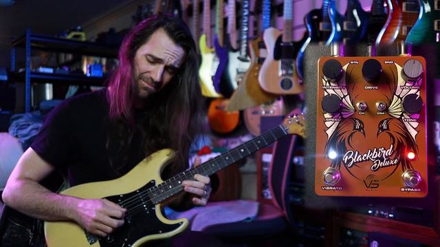 Vintage Fender Tones in a Box - VS Audio Blackbird Deluxe смотреть онлайн