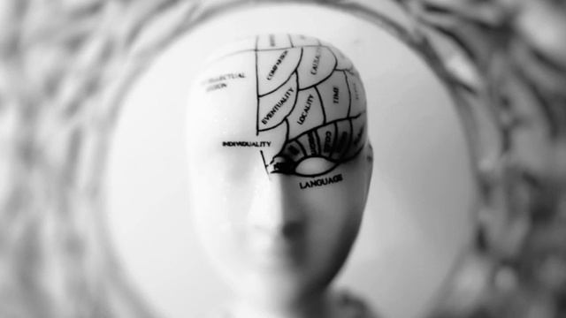 Сенсоры, сознание, подсознание Как мы делаем выбор смотреть онлайн