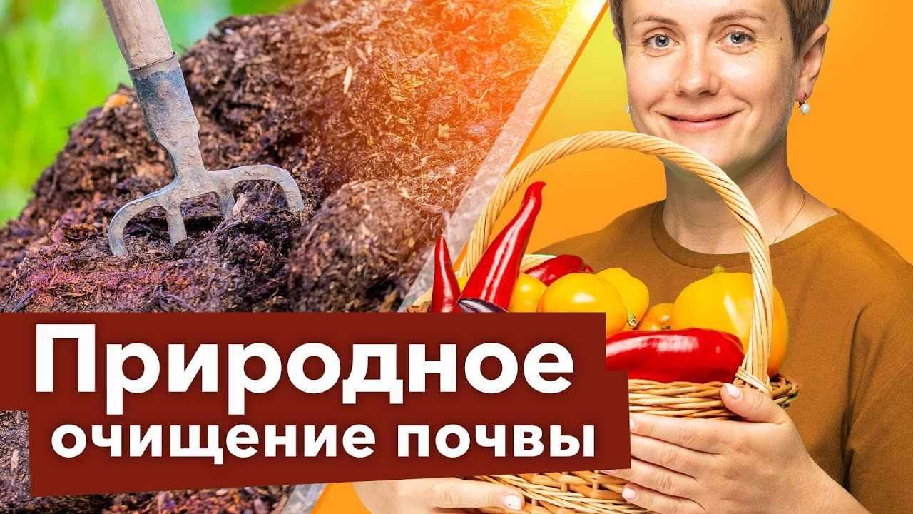 САМЫЙ ПРОСТОЙ СПОСОБ ОБЕЗЗАРАЗИТЬ ПОЧВУ ДОСТУПНЫЙ ВСЕМ! смотреть онлайн