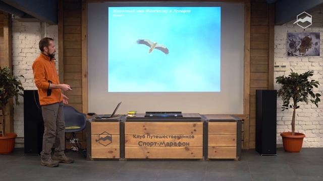 Путешествия по Мангистау и плато Устюрт смотреть онлайн