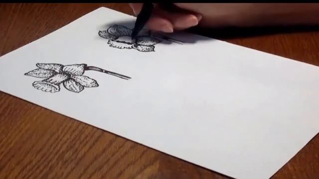 Tutorial : How to draw a different types of daffodils. Нарцисс. Урок рисования ! смотреть онлайн