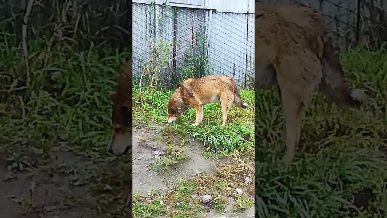 23 сентября 2023 г.