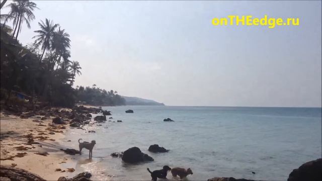 #4 Таиланд, Самуи: небольшое солнечное видео с пляжа Бан Тай смотреть онлайн