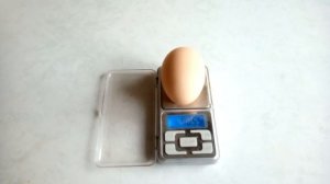 Самая тяжёлая порода кур - белый промышленный корниш. Яйценоскость и вес яйца.