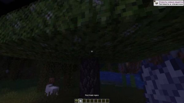 Обзор мода Wizardy delight