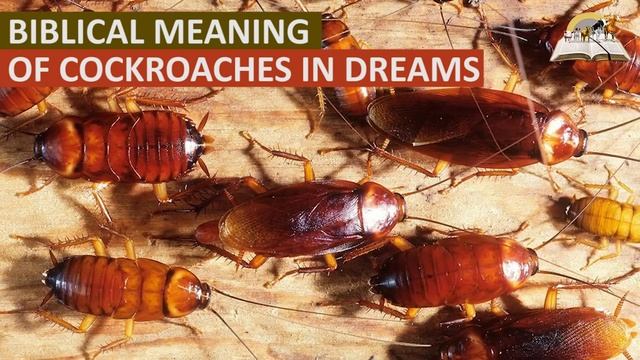 Biblical Meaning of COCKROACHES in Dreams - Find Out The True Spiritual Meaning of Roaches смотреть онлайн