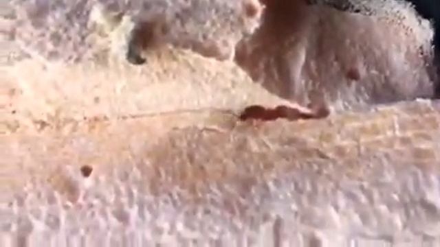 ПЕНОПЛЕКС смотреть онлайн