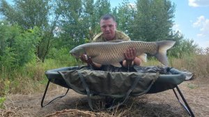 Охота на Амура 2024г. р. Дон