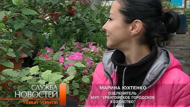 В теплицах Нового Уренгоя можно выбрать цветы на любой вкус. смотреть онлайн