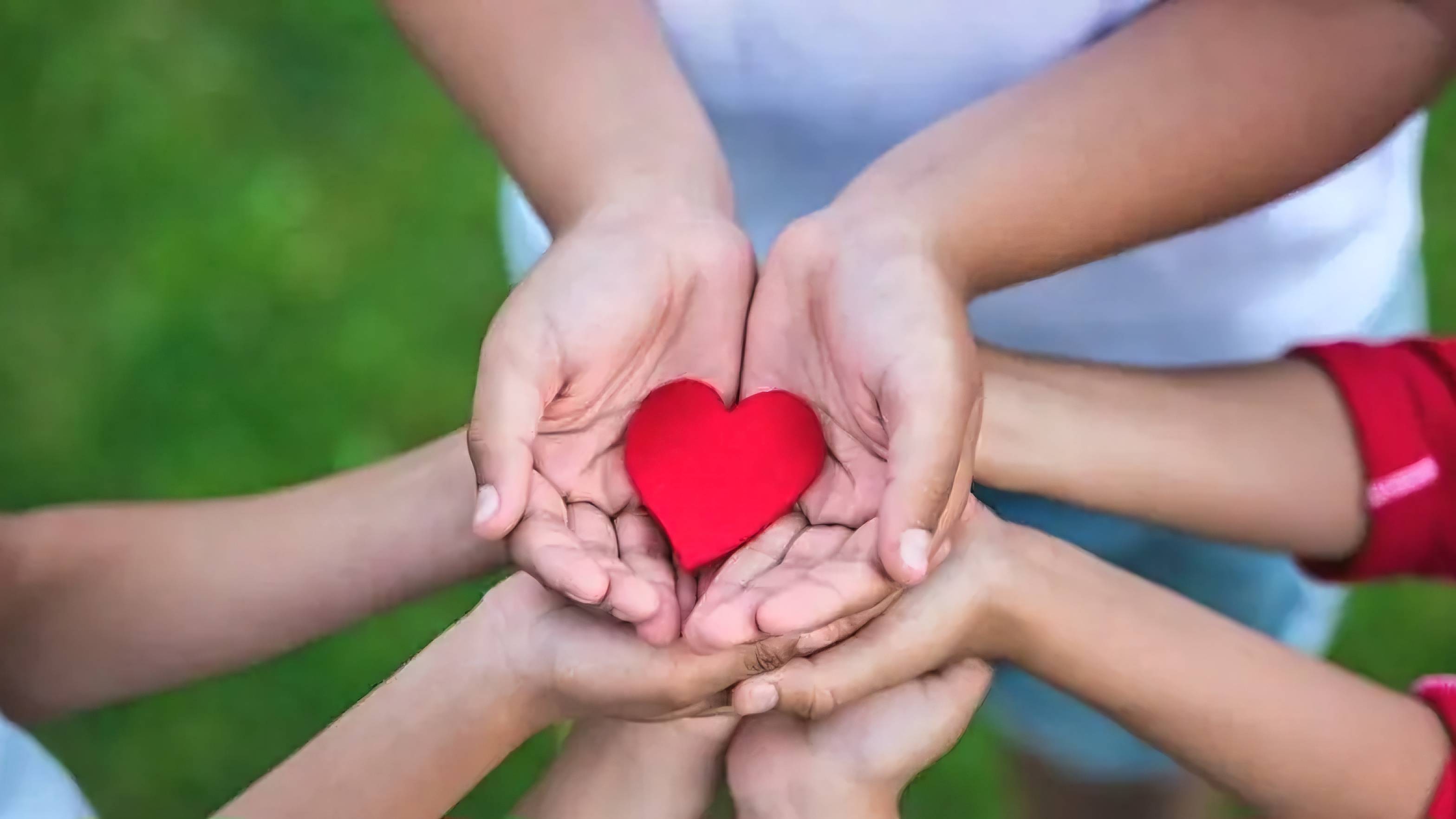 "Доброта" - стихи Ирины Самариной-Лабиринт, видео Татьяны Трубеевой смотреть онлайн