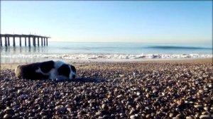 Отель Лимак Аркадия. Турция, Белек.