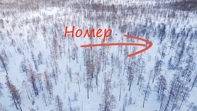 Загон на Изюбря 2023 вид с дрона, пять рогачей вышли на номер! (перезалив, полное) смотреть онлайн