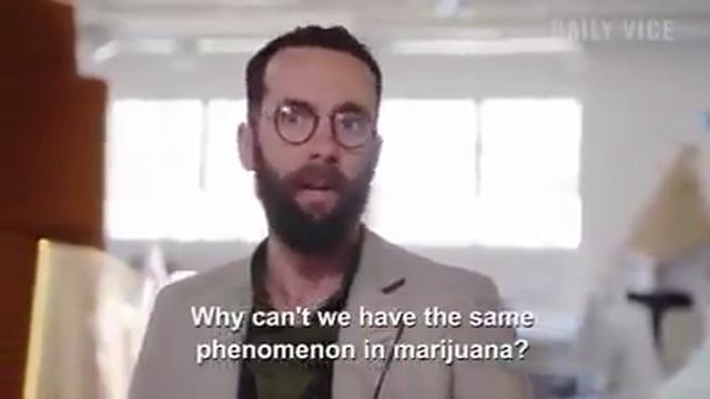 big dragons and little dragons Tokyo smoke 13 thousand dollar bong смотреть онлайн
