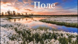 Весна: пробуждение природы