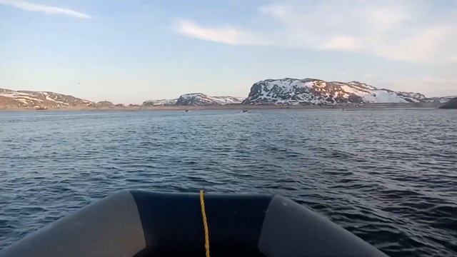 Рыбалка в Териберке. Баренцево море. Треска. смотреть онлайн