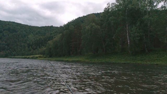 Евронимфинг. Рыбалка на ленка и хариуса. Река Мана. смотреть онлайн