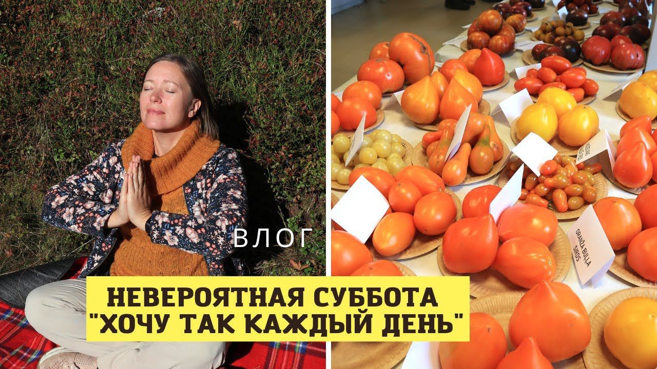 ВЛОГ / Лес, море и 180 сортов томатов на выставке в Рое смотреть онлайн