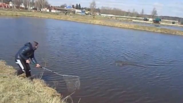 Ловля карпа в Раменском рыбхозе "Гжелка" смотреть онлайн