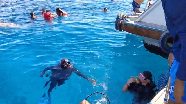У мужа паника, первое погружение красное море 2023 год смотреть онлайн