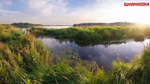 Былиночка. Занятие. 19 января смотреть онлайн