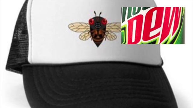 17 Facts About 17 Year Cicadas. (to go faster choose 2X) смотреть онлайн