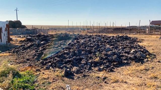 ДЕРЕВНИ АСТРАХАНСКОЙ ОБЛАСТИ БЕЗНАДЕГА #507 ВЛОГ Промысловый РНД 31 10 2021 lovdan смотреть онлайн