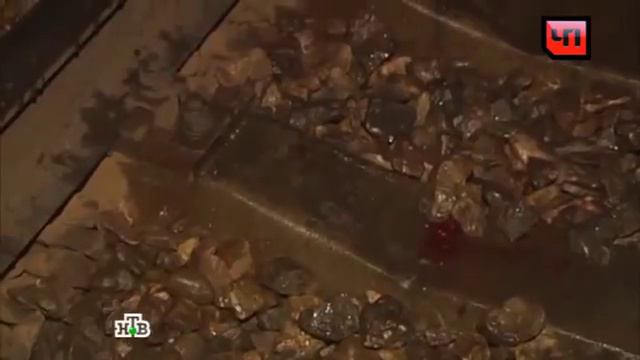Машинист сбившей пять человек электрички до последнего пытался затормозить смотреть онлайн