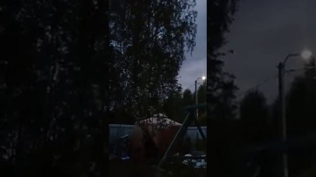 Пение птиц на даче смотреть онлайн