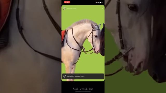 Крутые обновления айфон iOS 16.0 Функции айфон, о которых ты не знал смотреть онлайн