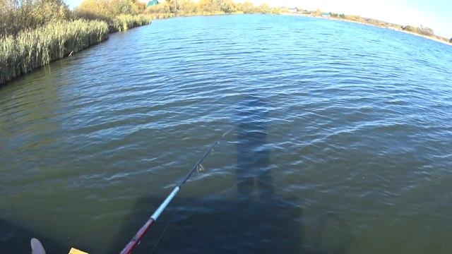 Рыбалка на спиннинг осенью хищник бастует. смотреть онлайн