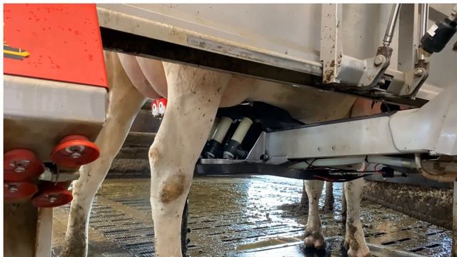 2023 DRF Symposium - Ad van Velde: Lessons to be learnt from key European dairy industries. смотреть онлайн