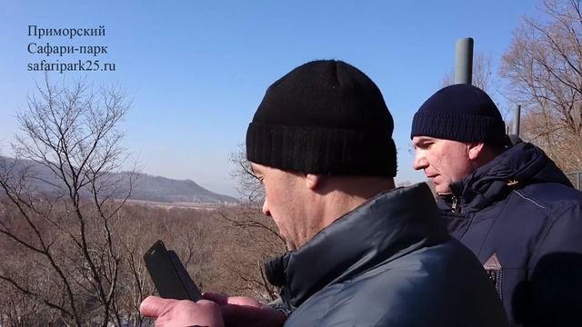 ПЕРВАЯ ВСТРЕЧА ЛЕОПАРДОВ ВЕЛИКОРОССА И РОНЫ В БОЛЬШОМ ПАРКЕ смотреть онлайн