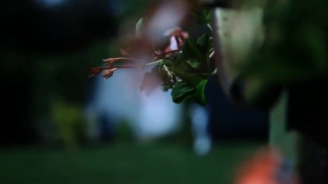 ▶ Canon 5d Mk II vs Sony HXR NX5 смотреть онлайн