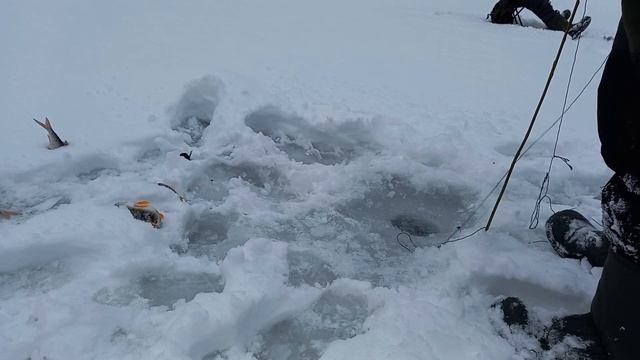 ЗДОРОВЕННЫЙ ОКУНЬ В КОСЫНКУ. Рыбалка на реке. смотреть онлайн
