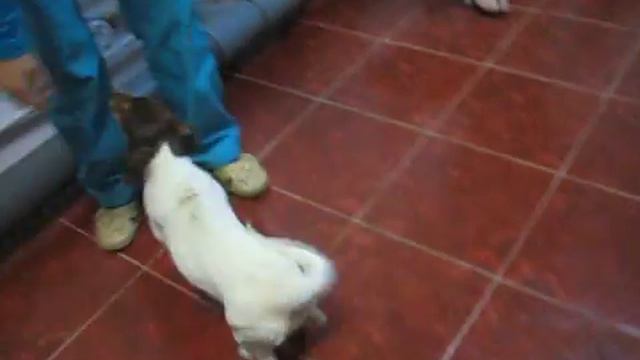 Изображение 1054